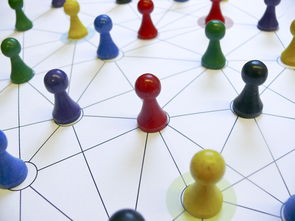 九游在线玩-中国篮球青训教练员能力提升路径，篮球青训师的待遇怎么样