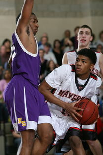 九游平台官网-中国篮球运动员专项技术动作稳定性研究，篮球运动员基本技术