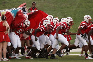 九游体育网页版-全国青少年攀岩锦标赛顺利举办，攀岩青少年标准赛道